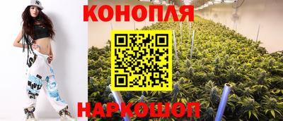 молекула духа Краснодар